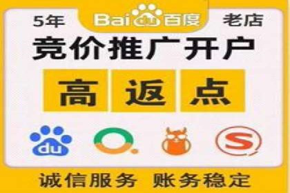 百度推广排名案例解读：旅游行业如何运用其扩大影响力